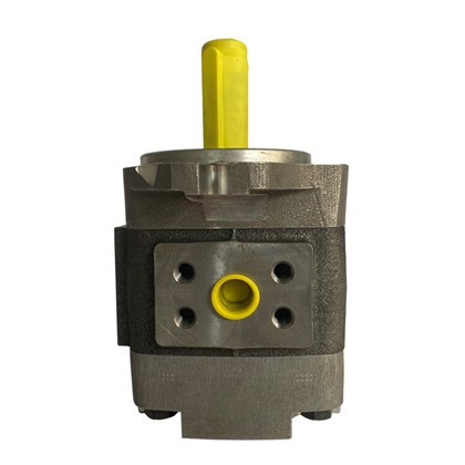 Bơm bánh răng Voith Ipv